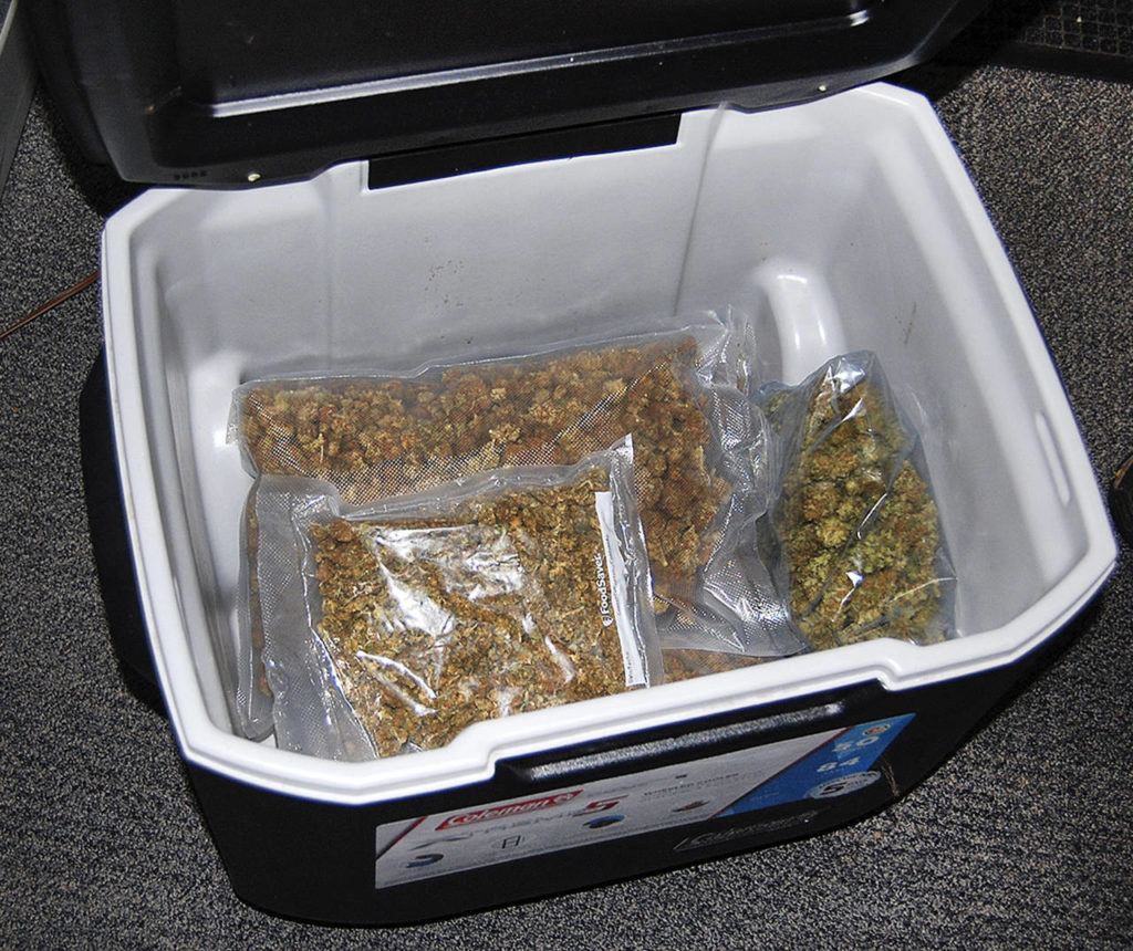 Nearly four pounds of pot were found Tuesday in a cooler donated to the Monroe Goodwill. (Monroe Police Department)
