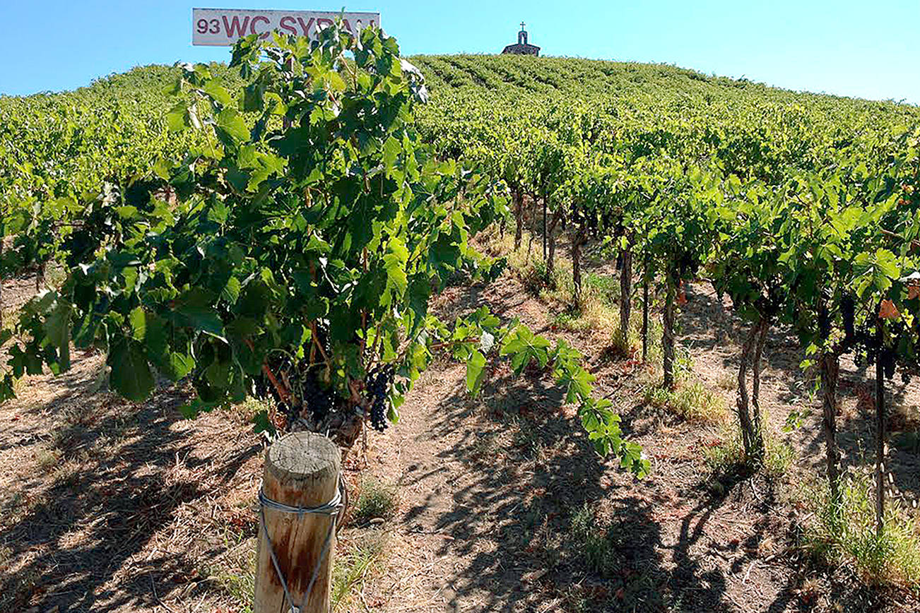 Yakima Valley remains the cradle of Washington wine