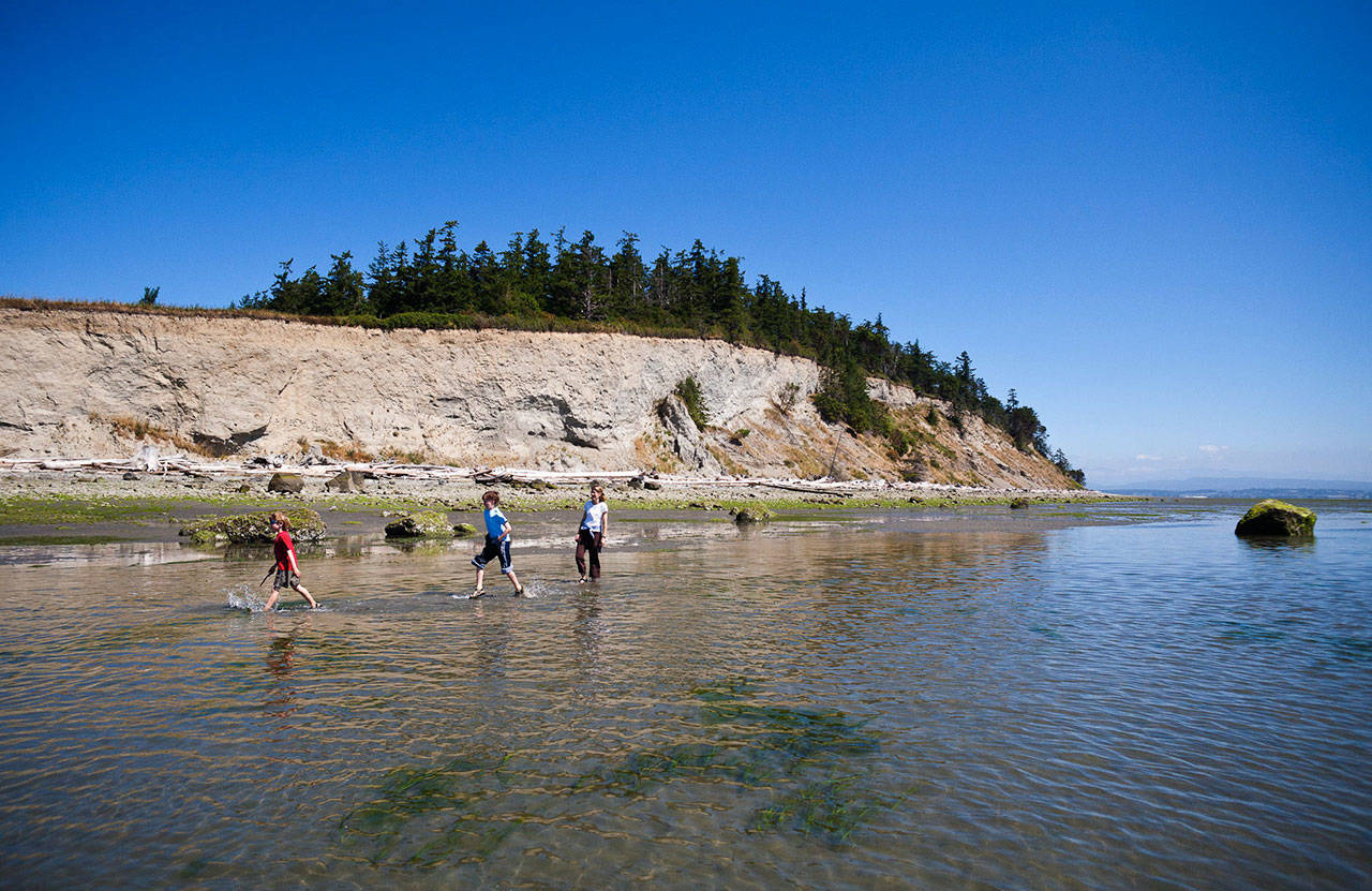 Brothers Leif and Grant Carey-Odden walk through the water at Barnum Point on Camano Island with their mother, Kari Odden in 2012. (Benj Drummond / The Nature Conservancy)