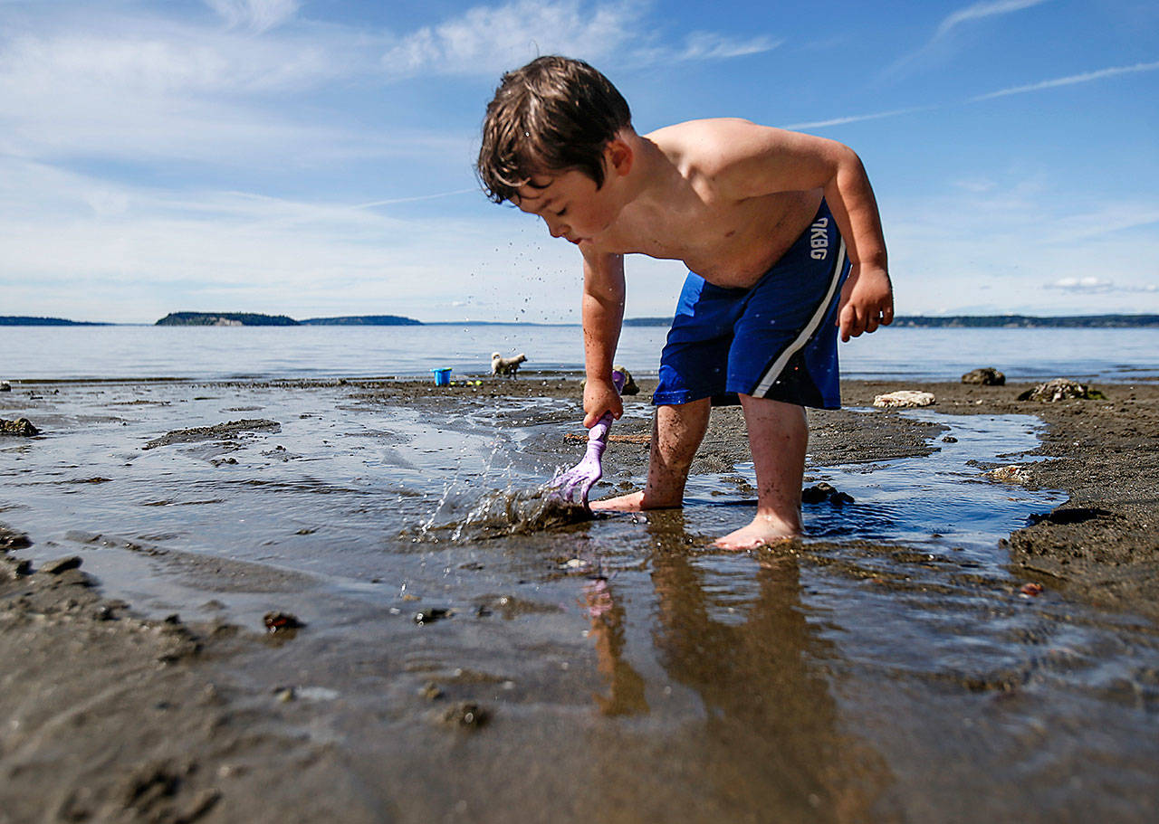 Si Taylor, then 3, splashes and explores the beach, on a July afternoon in 2015 at Howarth Park’s beach in Everett while his mom, Ashley Barron, of Everett, and grandmother, Jean Barron of Arlington watch and enjoy the unusually warm day from nearby. (Dan Bates / Herald file photo)