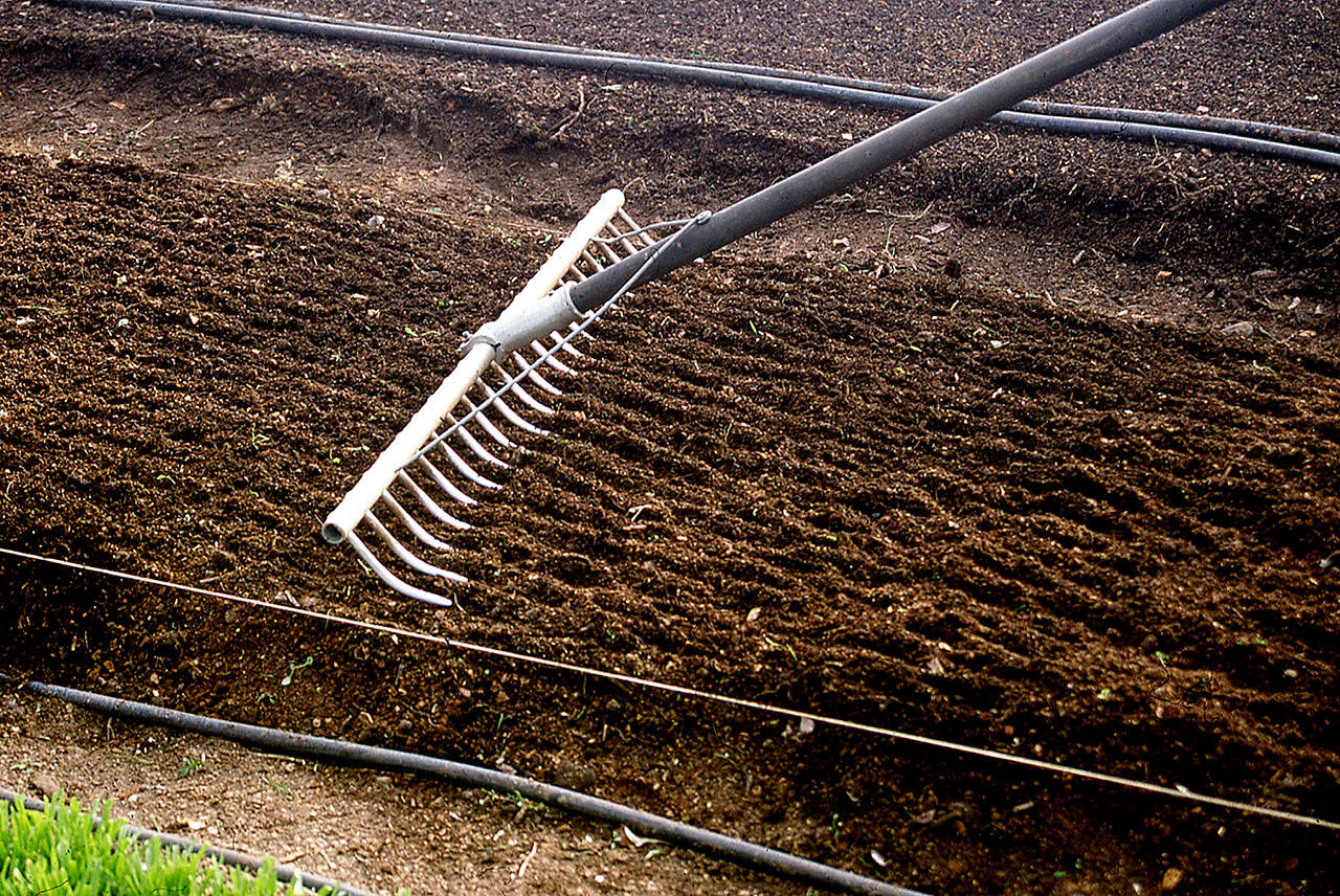 Fluffy, aerated soil is key to growing healthy plants. The writer uses string to help keep people, and paws, off her soil, and never makes beds wider than 4 feet so she can reach the soil without stepping on it. She also uses a bed-forming rake to keep the soil smooth. (Barbara Damrosch photo)