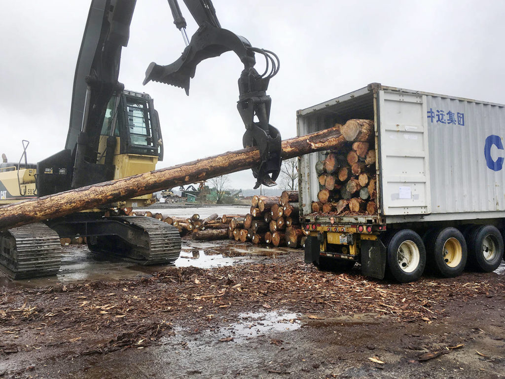Steve Langley drives the log loader for Formark at the Miller Shingle Company in the Smith Island Log Yard in Everett on Thursday, March 30. Formark CEO Eric Warren said it takes skill to be able to pack the logs into the containers. “I’ve had some guys who will never be able to do it and I’ve had some guys who have taken to it quickly,” Warren said. (Sue Misao / The Herald)
