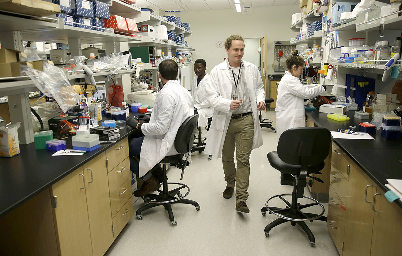 Dr. William Hahn, who is working on malaria research, walks through an immunology research lab at the University of Washington’s UW Medicine South Lake Union Campus on April 12 in Seattle. (AP Photo/Ted S. Warren)