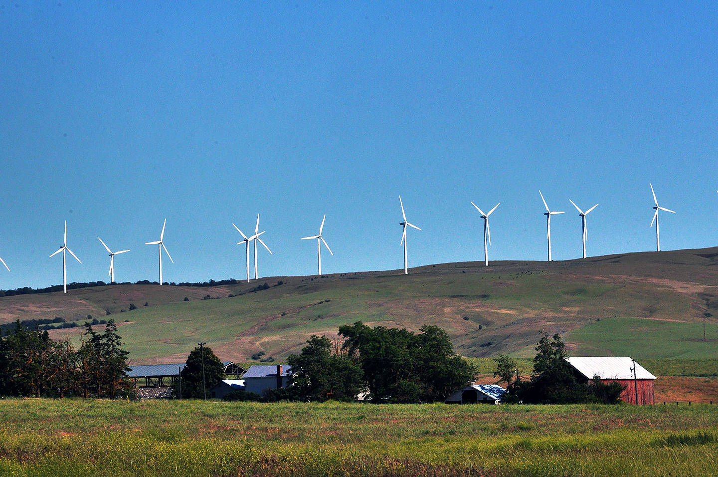 Windmills in central Washington state. (Sue Misao / The Herald)