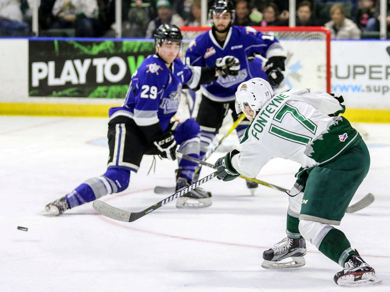 Everett’s Matt Fonteyne passes the puck to a teammate during a playoff game against Victoria on March 31, 2017, at Xfinity Arena in Everett. (Kevin Clark / The Herald)