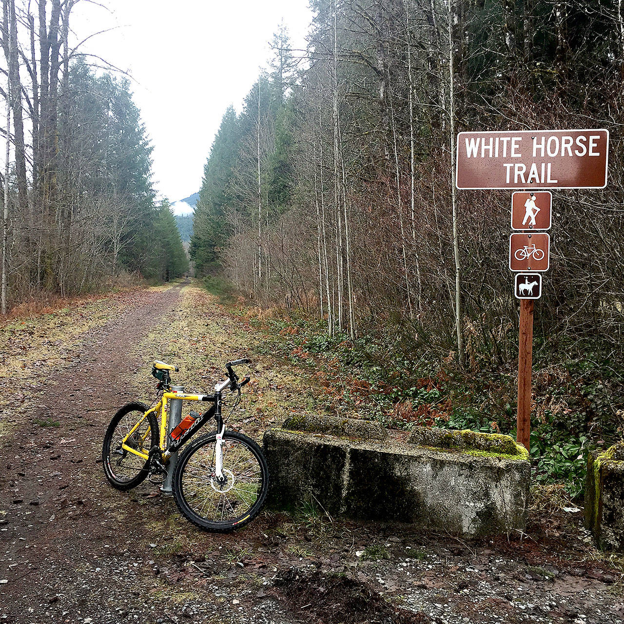 The easternmost trailhead of the Whitehorse Trail near downtown Darrington. (Aaron Swaney photo)