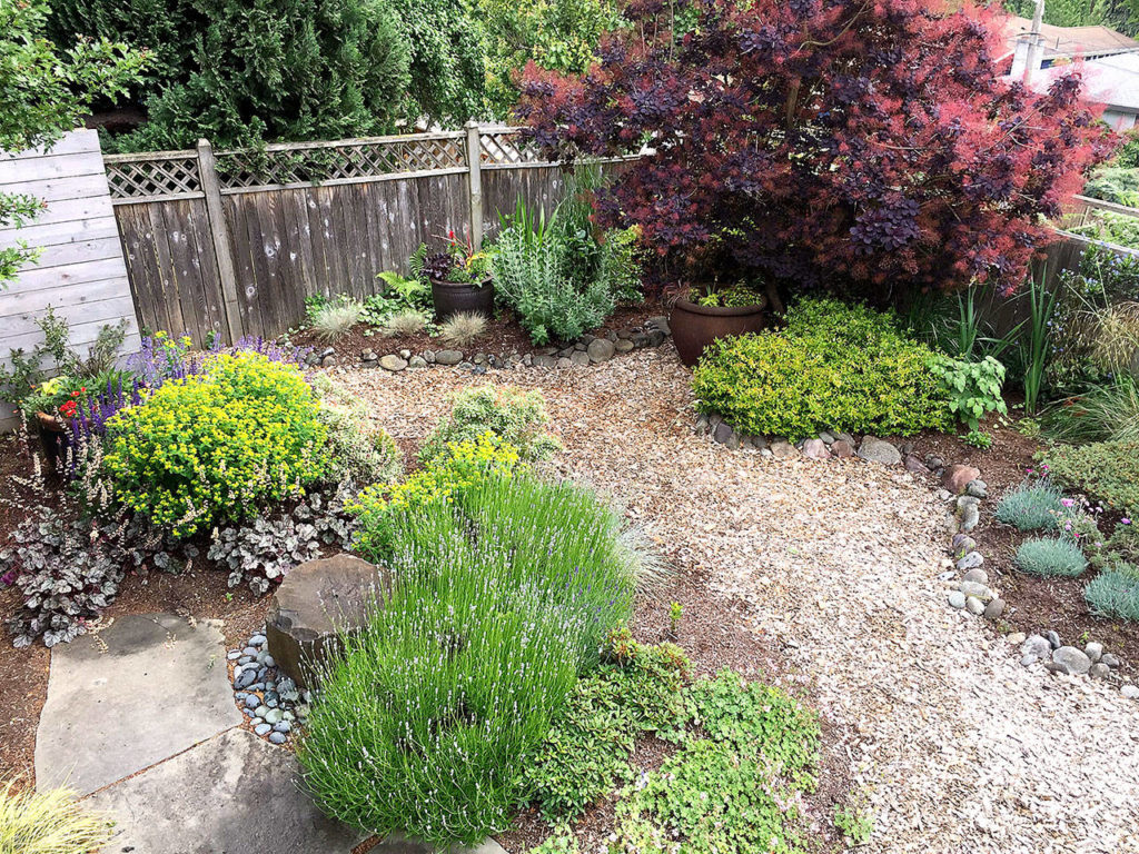 A thick layer of wood chips serves as a informal path through a yard. (Pam Roy photo)
