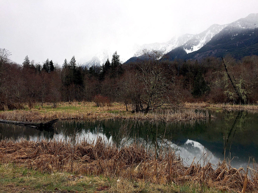 Whitehorse Mountain is shrouded by clouds on a recent March morning. The mountain is visible from many points on the Whitehorse Trail. (Aaron Swaney photo)
