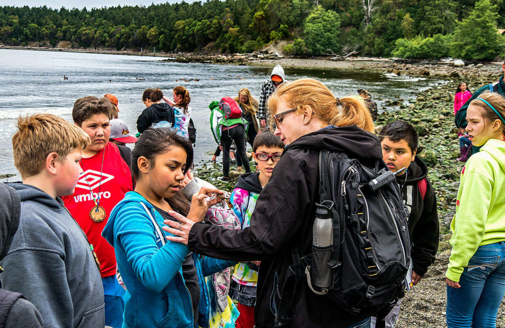 Last year’s Madison Elementary School fifth-graders and accompanying staff experience the joy in finding such things as even a tiny crab along the rocky shoreline at Camp Orkila on Orcas Island. (Courtesy Madison Elementary School)

