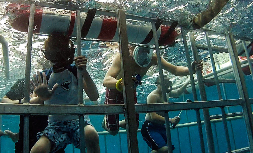 J.T. Fisher (wearing the shark T-shirt) experiences seeing sharks, one of his favorite animals, in their ocean environment. The Fisher family was on a vacation in Hawaii last summer and planned the adventure for their son. (Fisher family photo)
