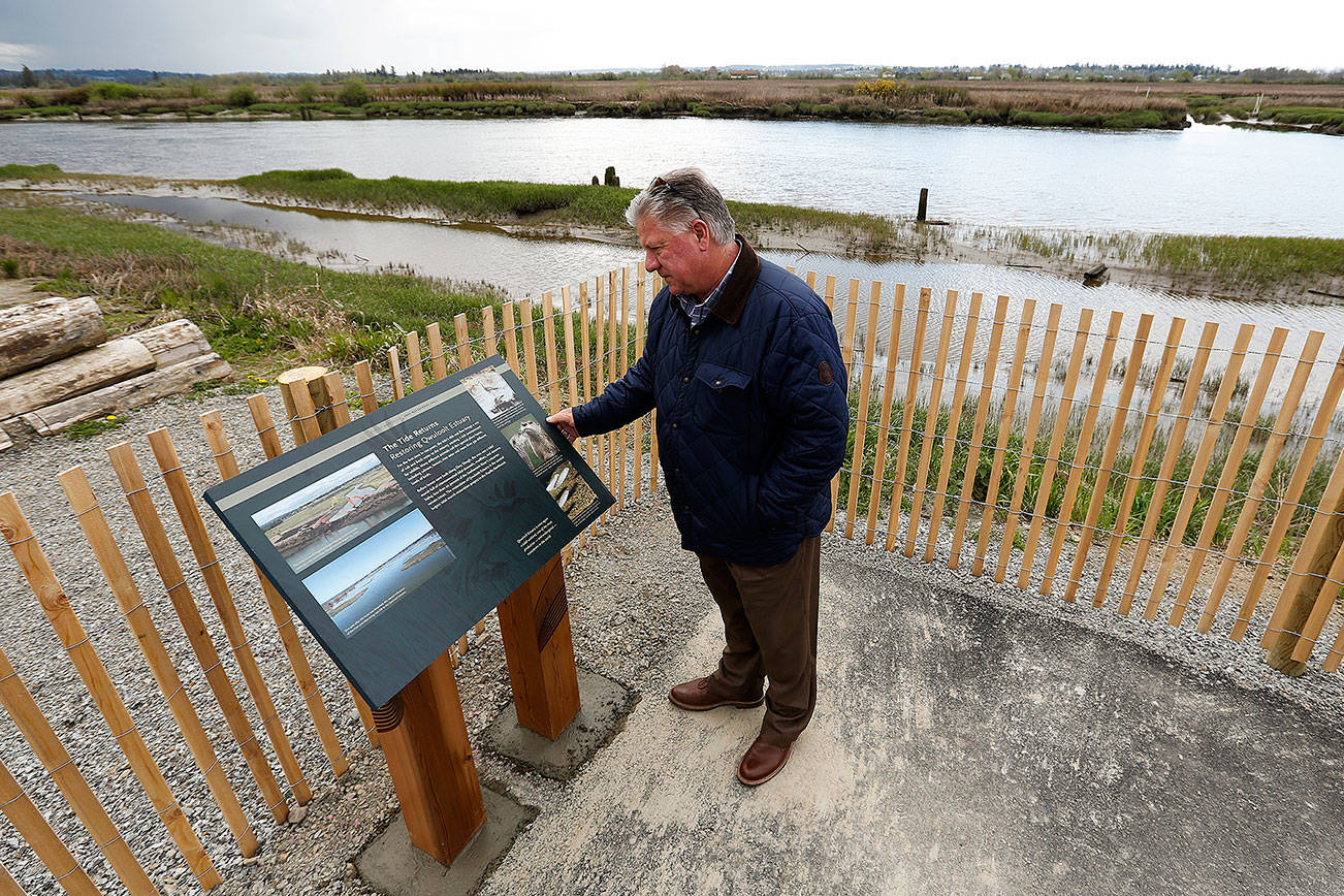 Marysville’s Qwuloolt trail opens this weekend