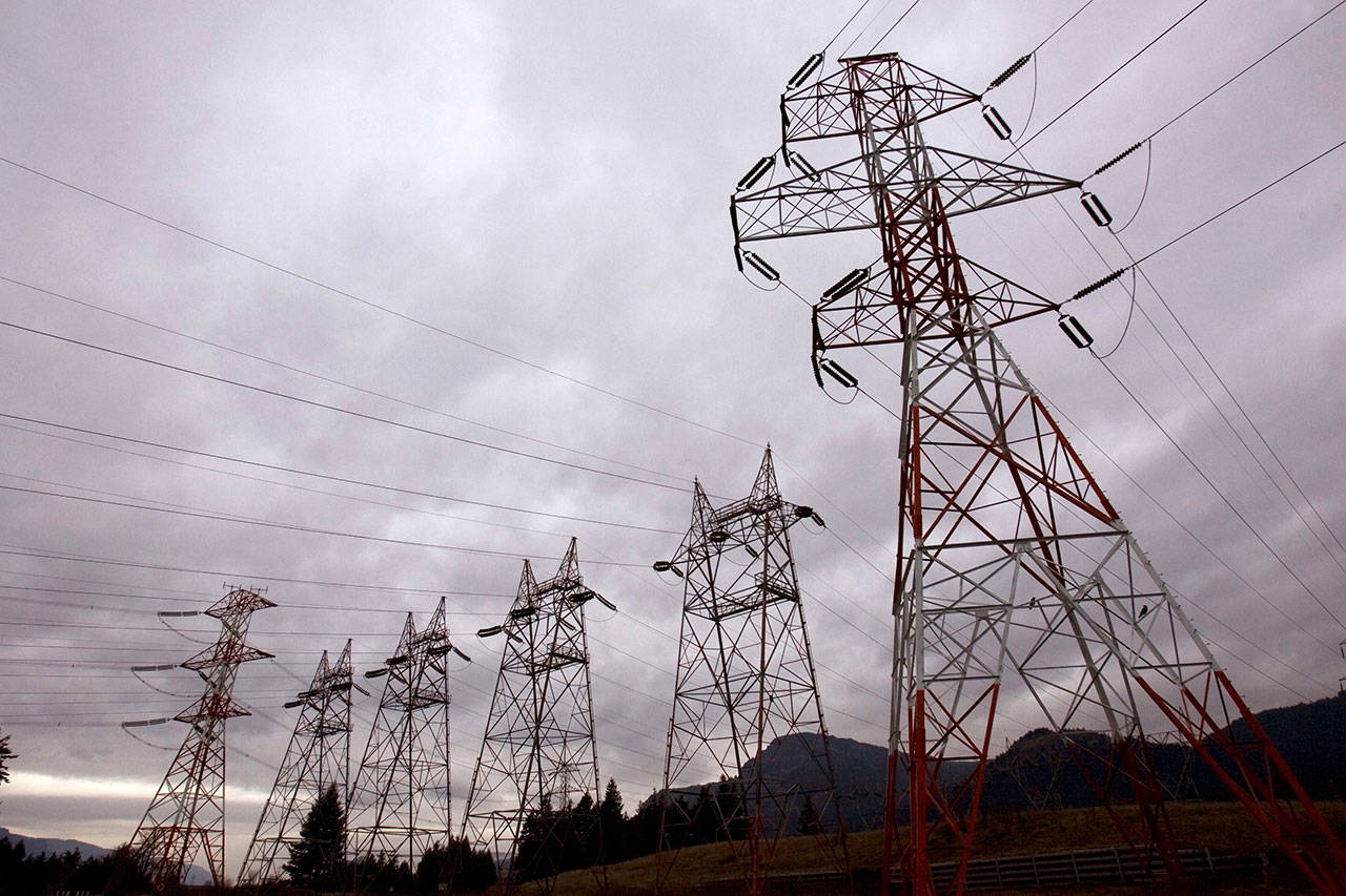 Power lines from Bonneville Dam head in all directions in North Bonneville, Washington, in a file photo from 2010. (Associated Press)