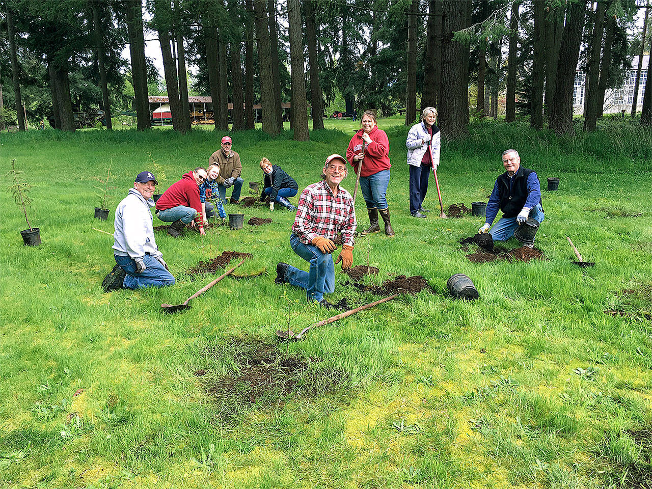 Twenty-five volunteers on April 29 planted over 100 trees and shrubs along Portage Creek at Stillaguamish Valley Pioneer Park in Arlington in honor of Arbor Day. (Contributed photo)