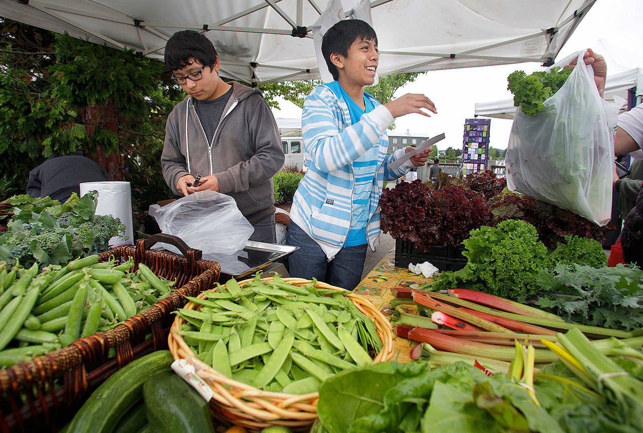 Joseph Rojas (left) and cousin Daniel Mendez bag vegetables harvested from their grandparents’ farm at the Everett Farmers Market in 2013. (Herald file photo)