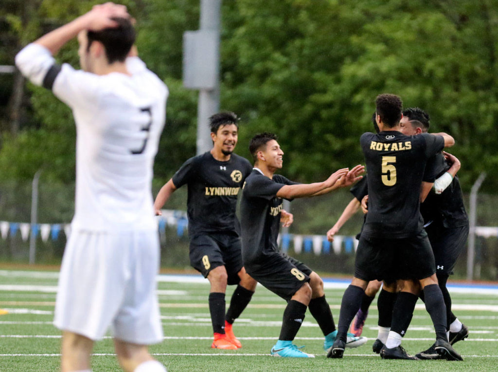 Lynnwood players celebrate a goal during their 4-1 win over Snohomish for the 3A District 1 championship Saturday in Shoreline. (Kevin Clark / The Herald)
