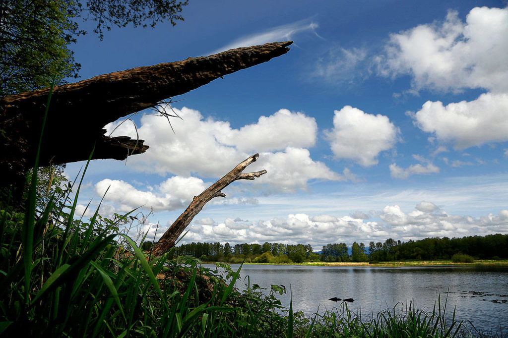 Shadow Lake at Bob Heirman Wildlife Preserve appears peaceful and without visitors Tuesday afternoon, save a for couple of Canada geese far and away near the distant shore. (Dan Bates / The Herald)
