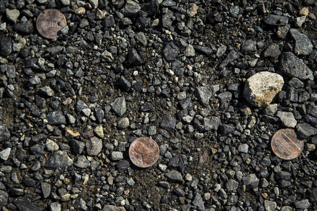 Loose pennies are strewn about the parking lot of Kaman Auctions in Edmonds. Many used cars come with coins hidden away in various compartments. (Ian Terry / The Herald)
