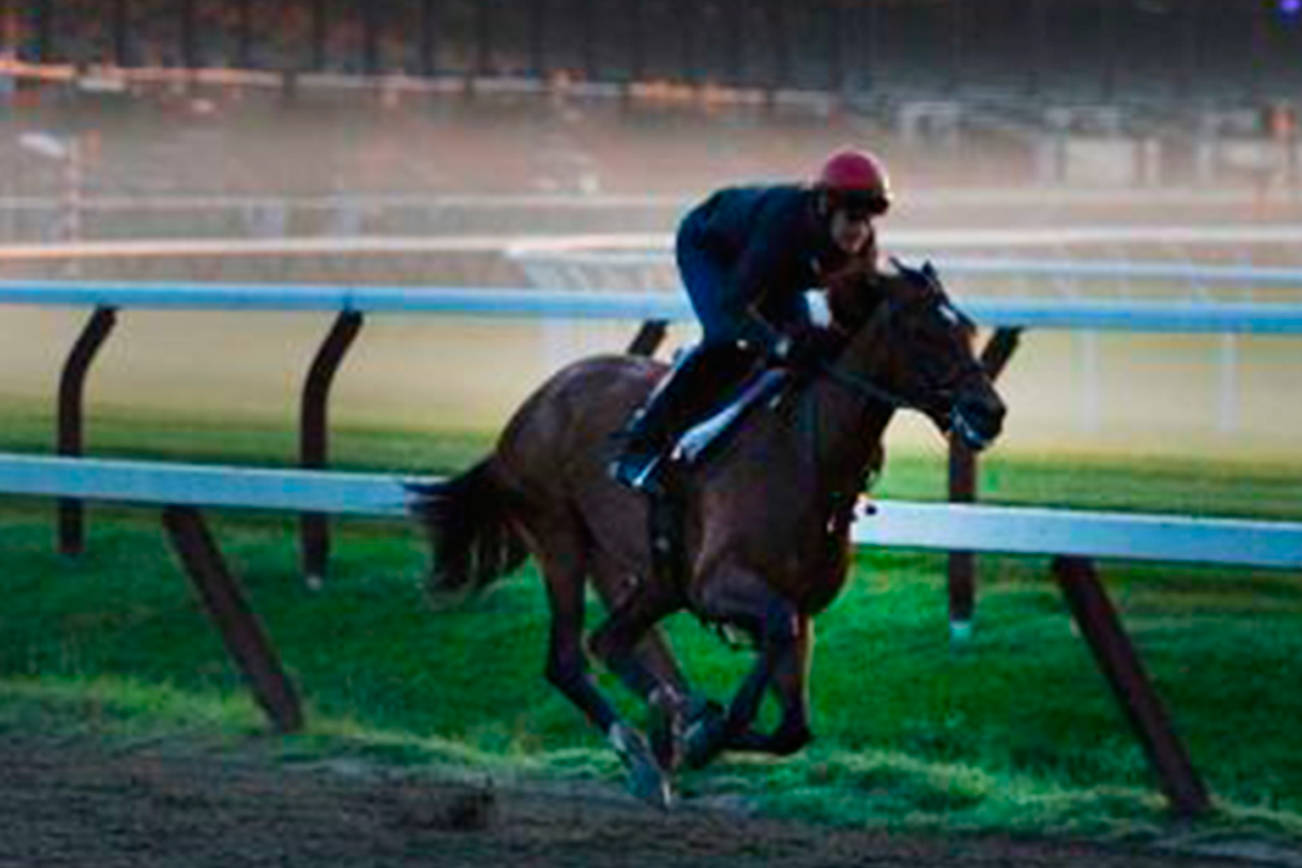 Horse racing books worth reading ahead of the Kentucky Derby