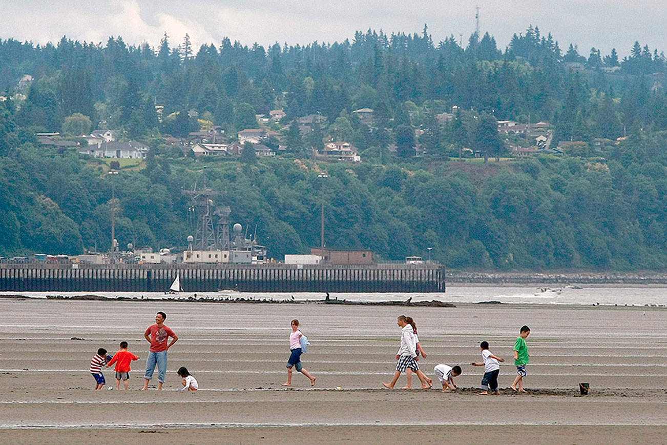 Summer guide: Special events, from festivals to tournaments