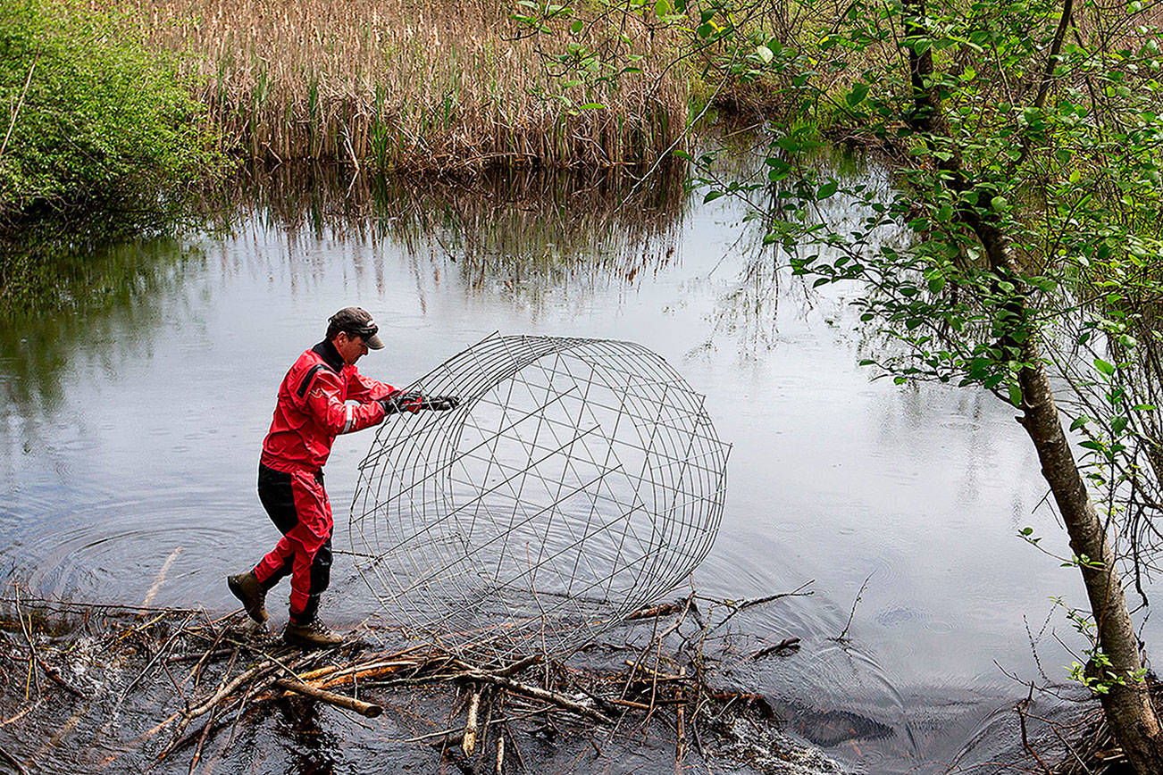 DAM Sheet Piling Landing Net