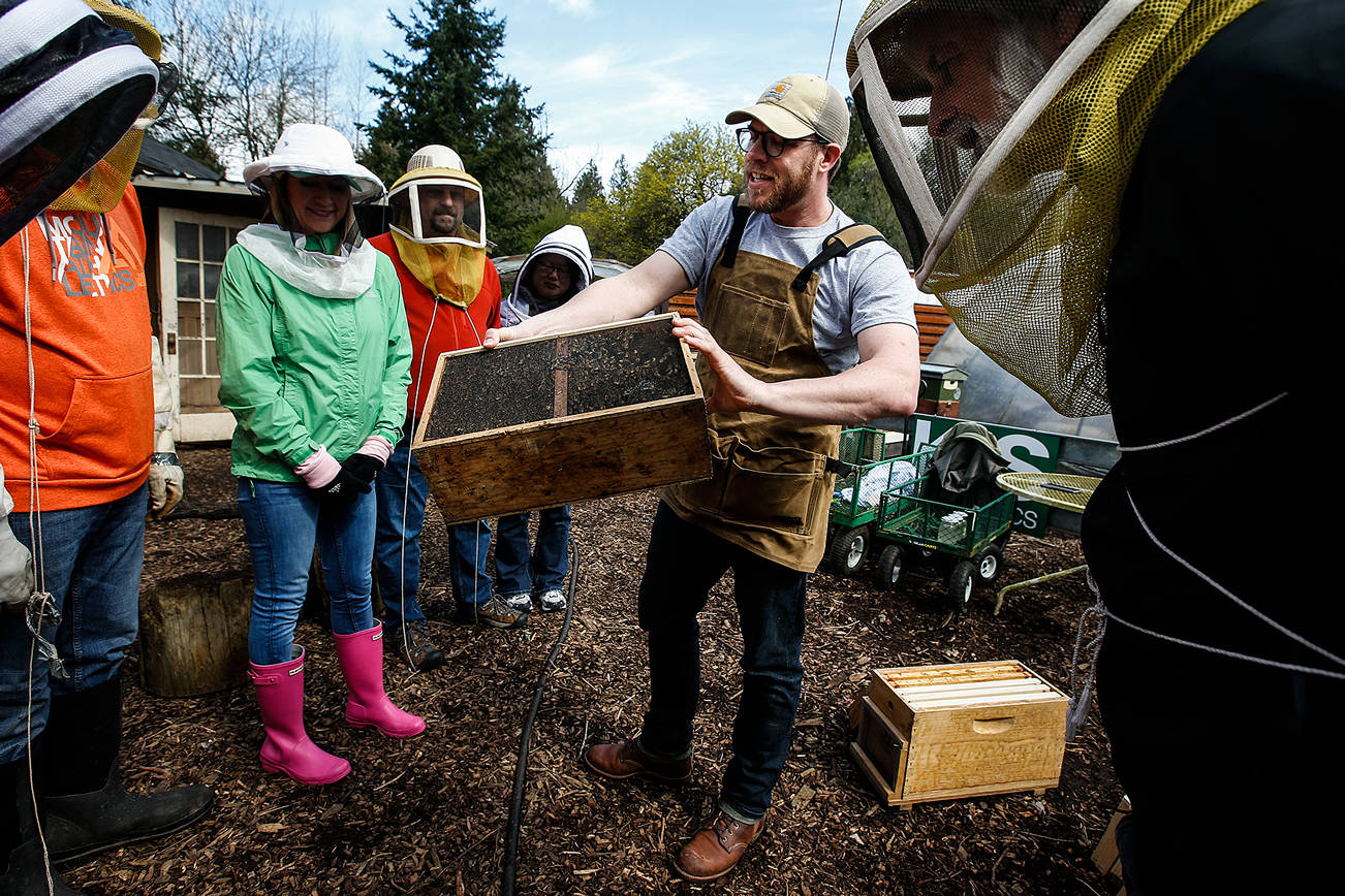 Mentoring program a pollinator for small businesses