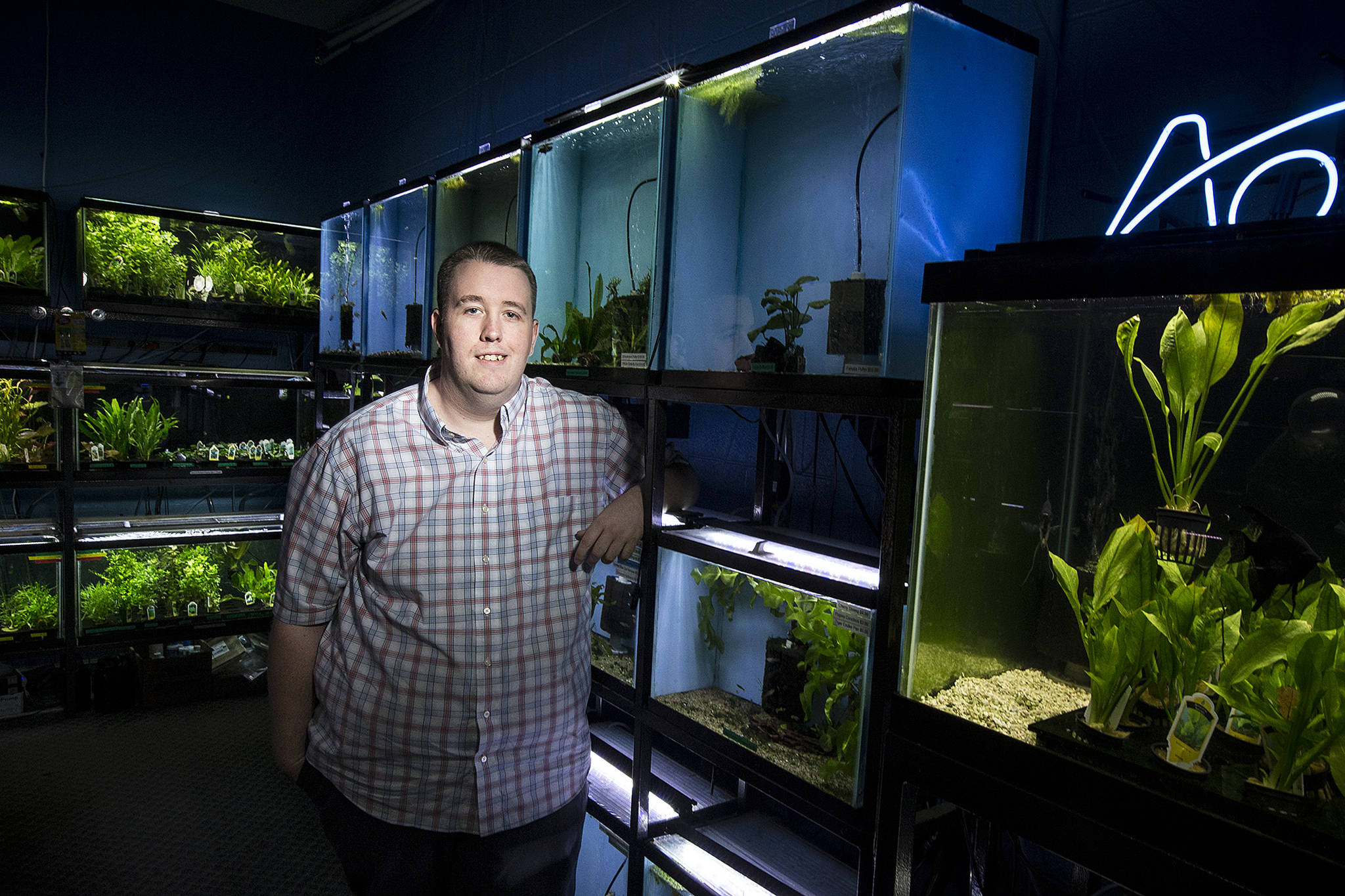 Cory McElroy, owner of Aquarium Co-op in Edmonds, balances his time between managing his store and creating content for his popular YouTube channel about proper fish and aquarium care. (Ian Terry / The Herald)