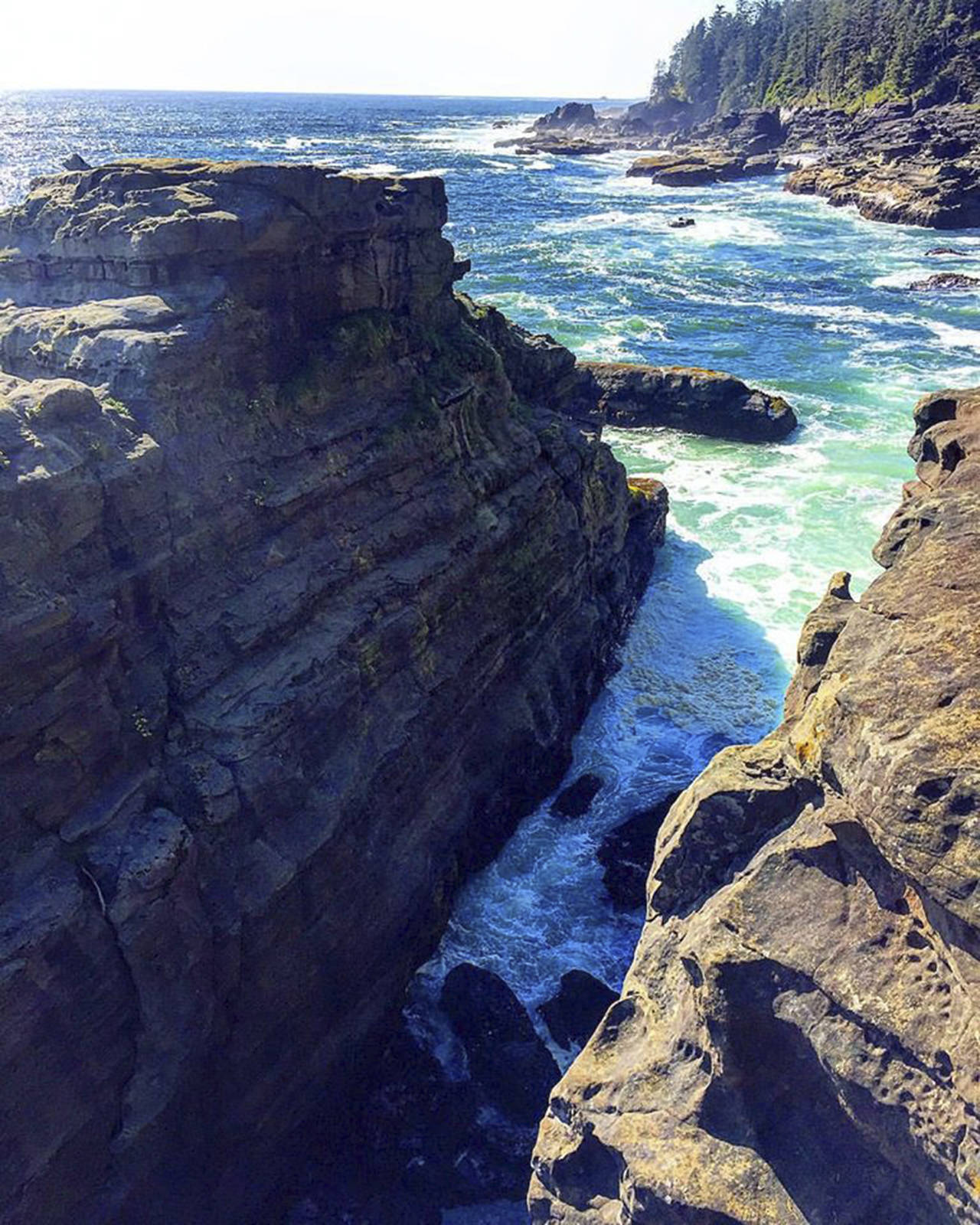 The West Coast Trail diverts inland when there are dangerous surge channels and impassable headlands ahead. (Sherry Winslow)