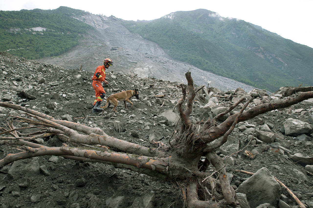 A rescue worker guides a sniffer dog to search for victims Sunday at the site of a landslide in Maoxian County in southwestern China’s Sichuan Province. Emergency crews are searching through the rubble for victims after a landslide Saturday buried a picturesque mountain village under tons of soil and rocks, with more than 100 people remained missing.(AP Photo/Ng Han Guan)