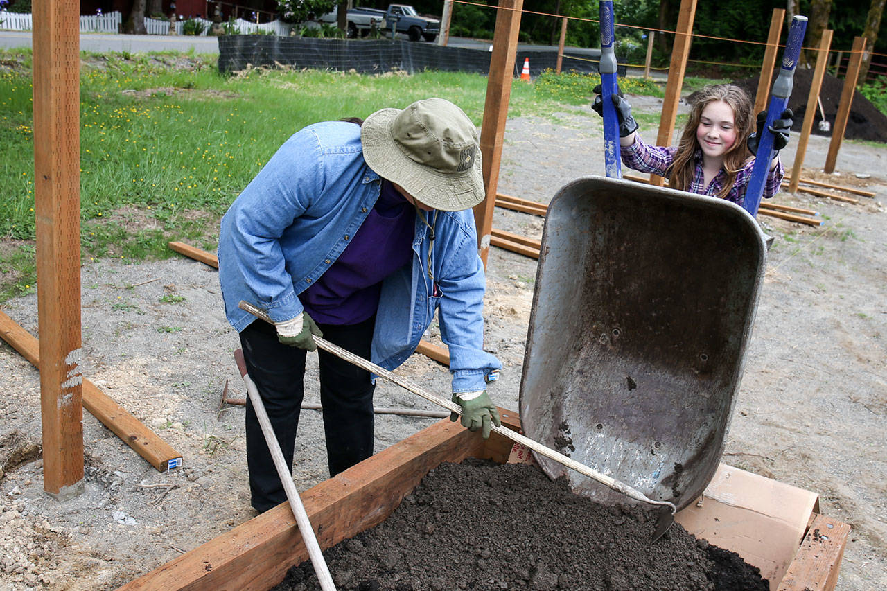 Kristen Hunt spreads fill as Rowan Abbott empties her wheelbarrow in a newly constructed garden bed Saturday afternoon at Eagle Ridge Park in Lake Stevens. (Kevin Clark / The Herald)