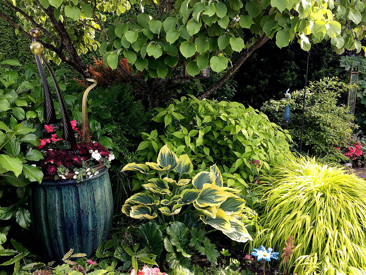 A snapshot of the author’s garden: a container of mixed annuals, fragrant snowbell tree, hosta, golden angel Japanese shrub mint and Japanese forest grass. (Nicole Phillips/Sunnyside Nursery)