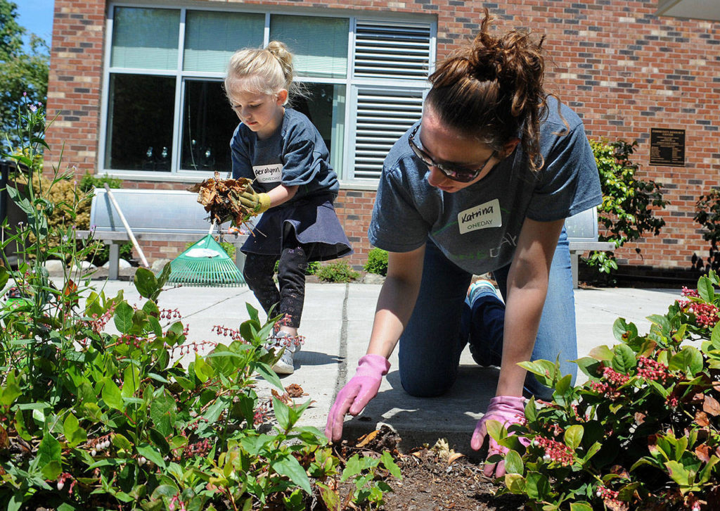 New Life Church member Katrina Schmidt, of Bothell, along with her daughter, Aeralynn, 4, pull weeds from a planting bed in front of the Everett Public Schools Community Resource Center during the church’s One Day event on Sunday. (Doug Ramsay / for The Herald)
