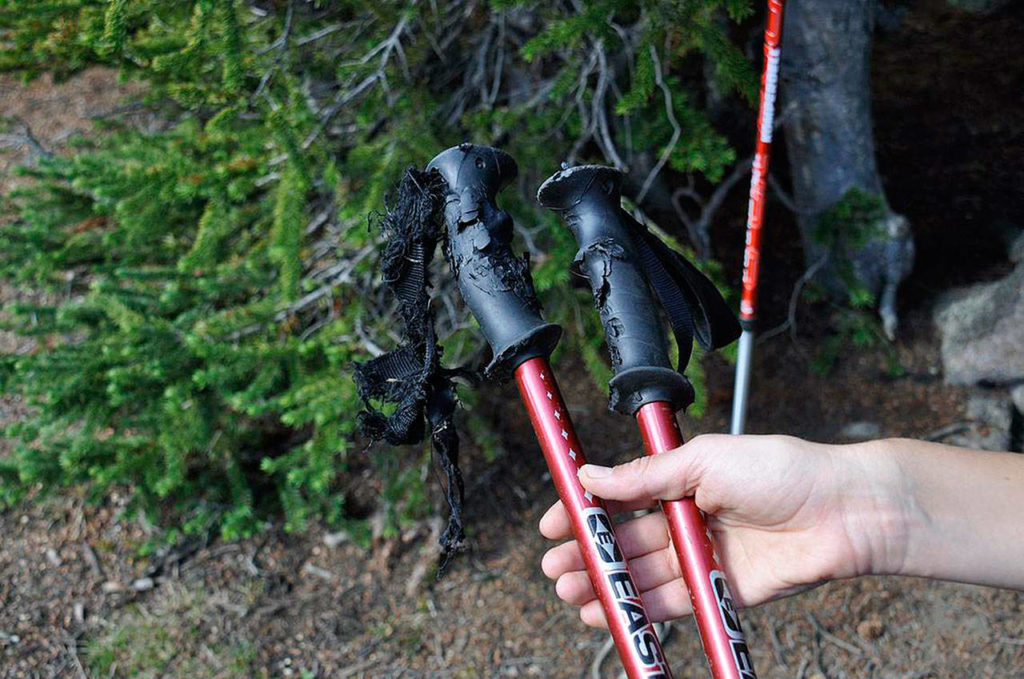 A porcupine chewed on the plastic handles of these hiking poles while they were left on the ground at a backcountry camp overnight. (Rich Landers / The Spokesman-Review)
