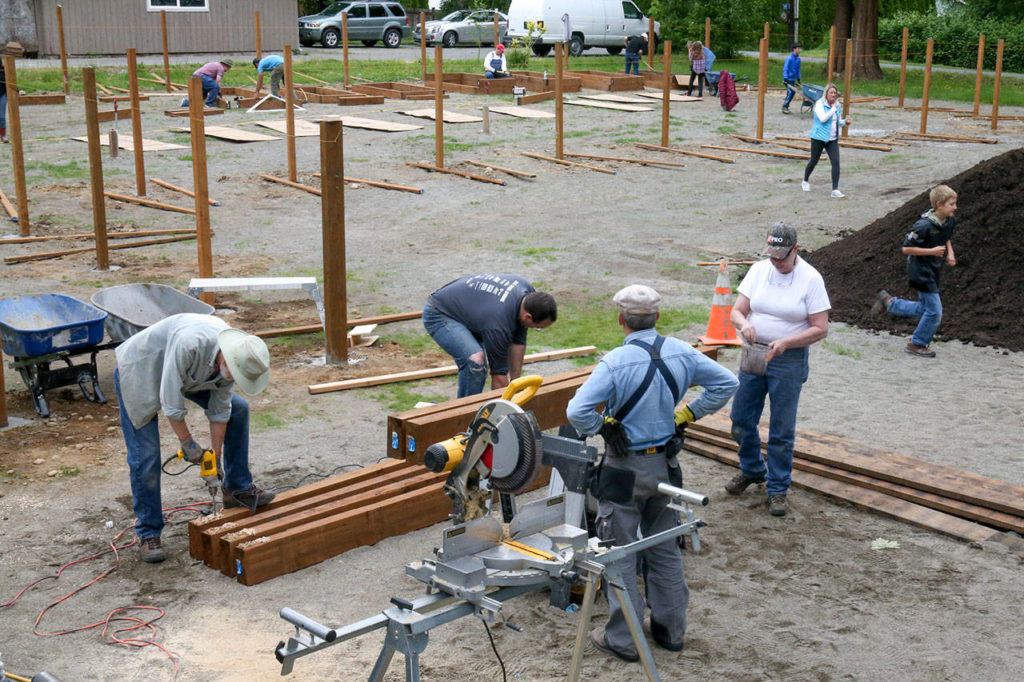 Volunteers work to create the largest community garden in Snohomish County. (Kevin Clark / The Herald)
