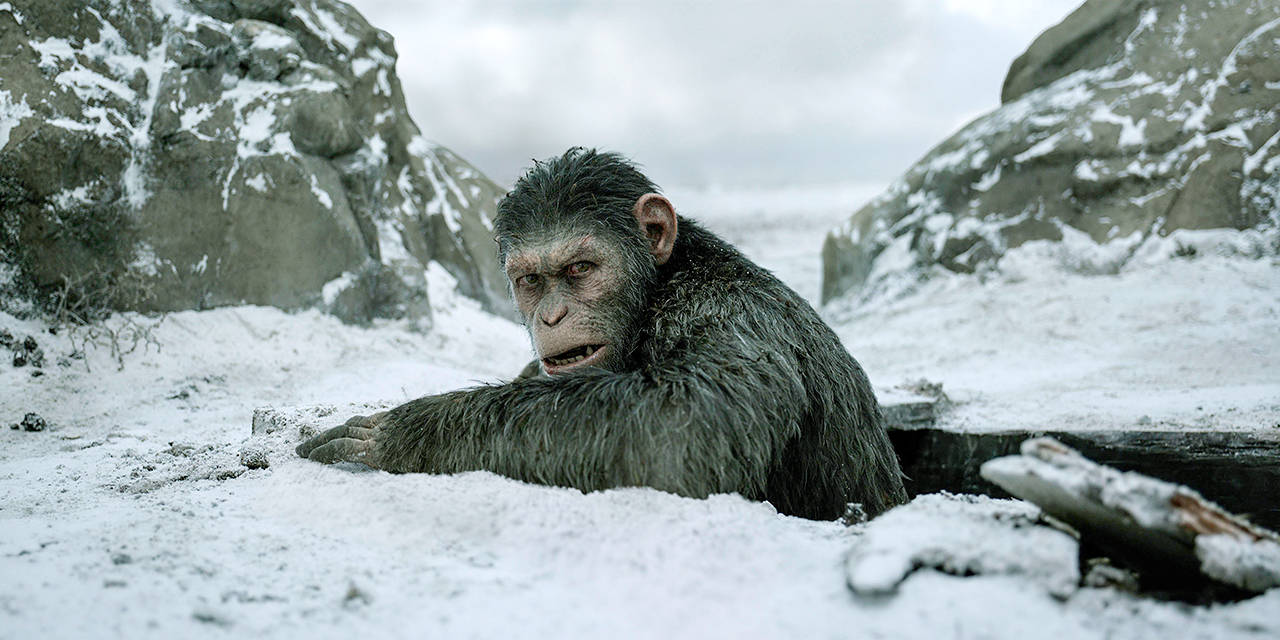 This image released by Twentieth Century Fox shows a scene from, “War for the Planet of the Apes.” (Twentieth Century Fox via AP)