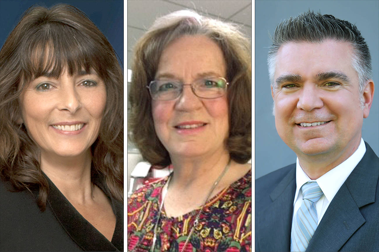 Stanwood council candidates aim at parks, flooding, jobs