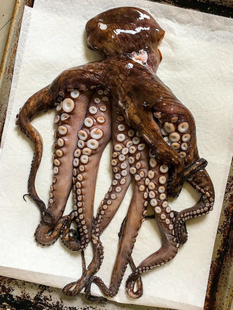 If you make the polpo e patate (octopus and potato braise), be prepared to spend a lot of time working with the octopus. The author cooked Pacific octopus. (Erin Pride-Swaney / For The Herald)
