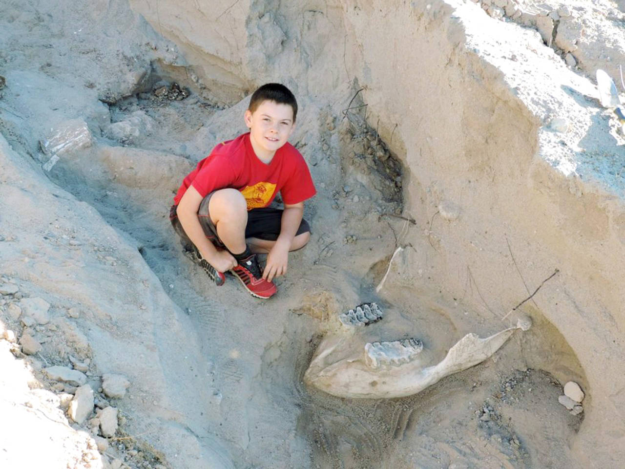 Jude Sparks poses with the Stegomastodon fossil he stumbled across near Las Cruces, New Mexico. (Peter Houde / New Mexico State University)