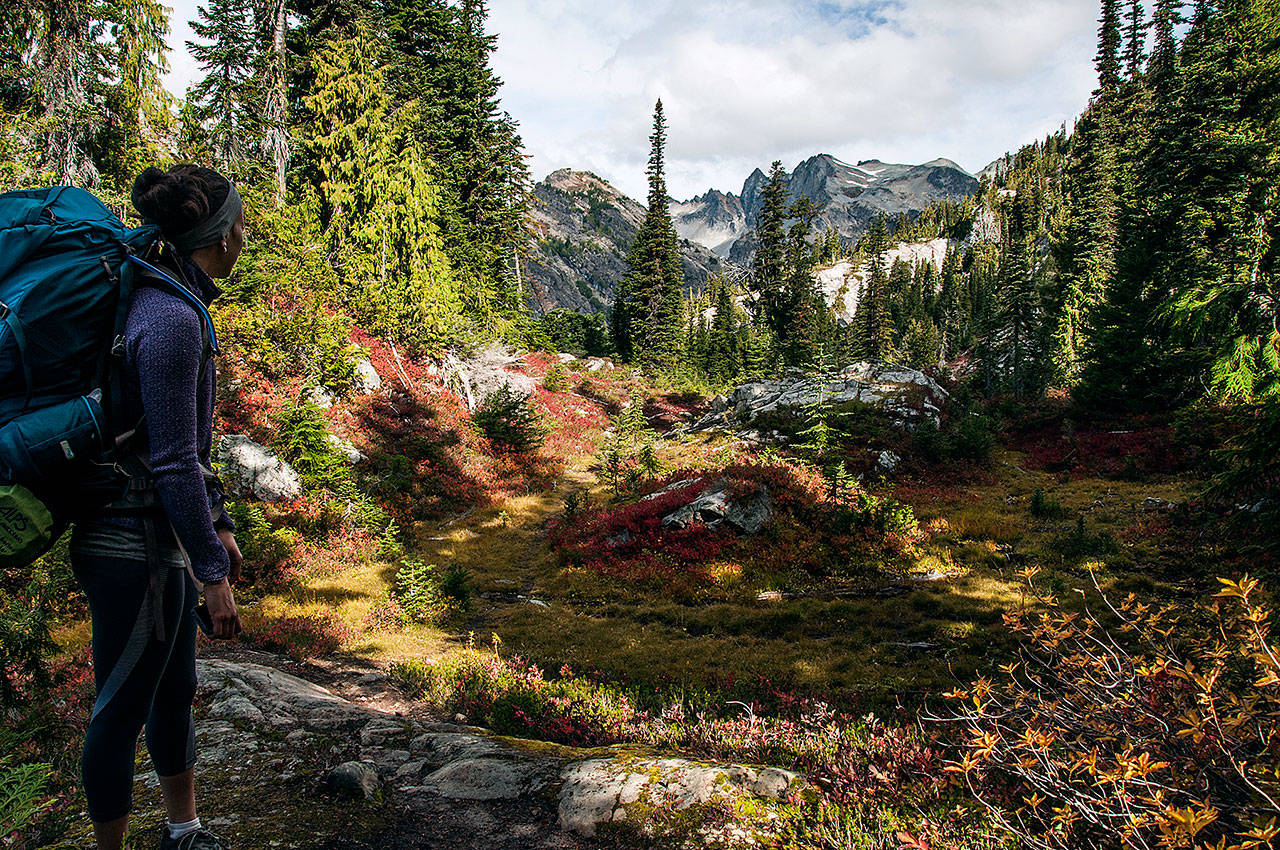 A summer hike through the Spade Lake Trail. (Photo by Michael Stjernholm)