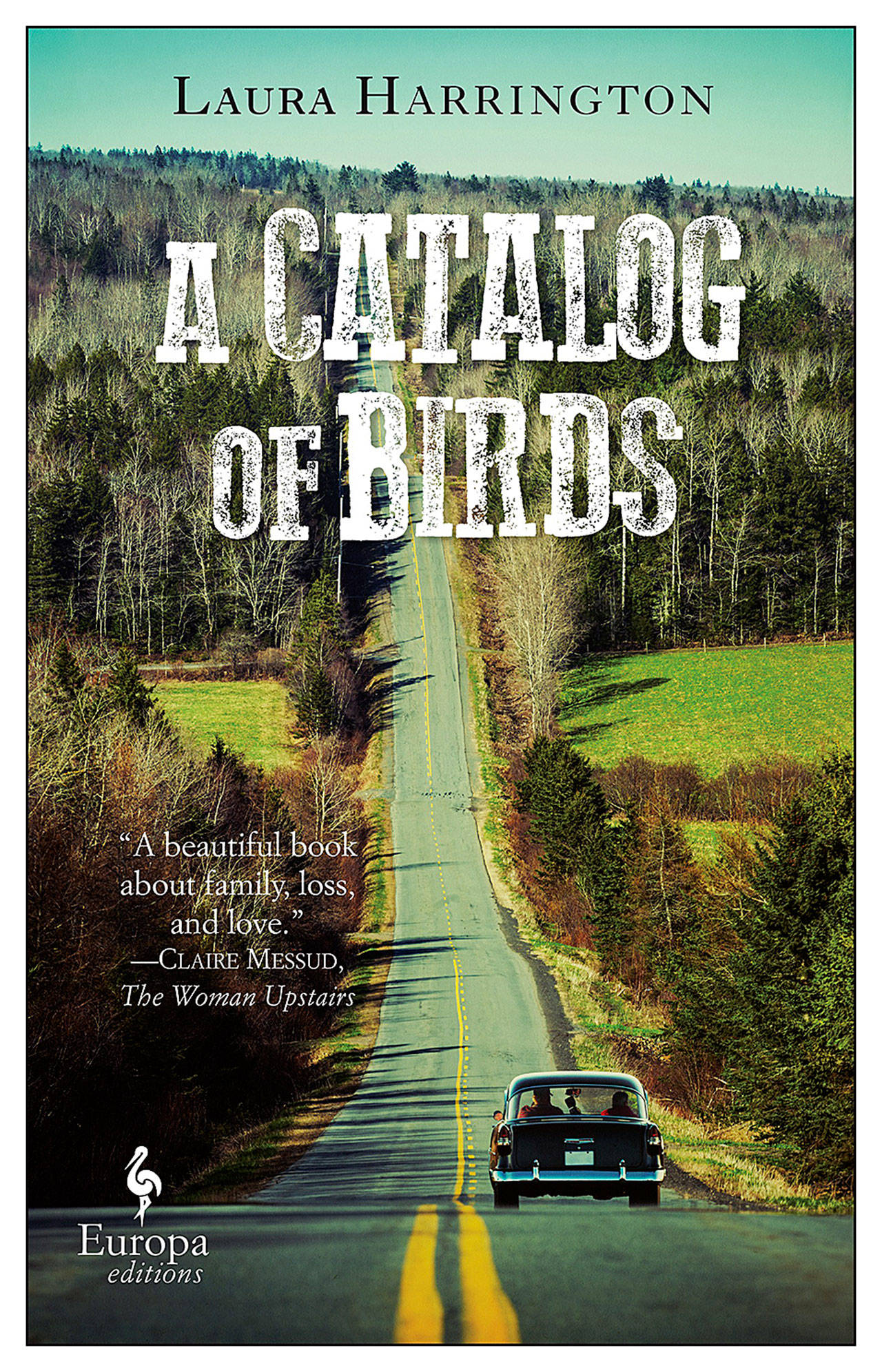 Three in one: “A Catalog of Birds” is a coming-of-age story, a searing war story and a page-turning thriller. (Europa)