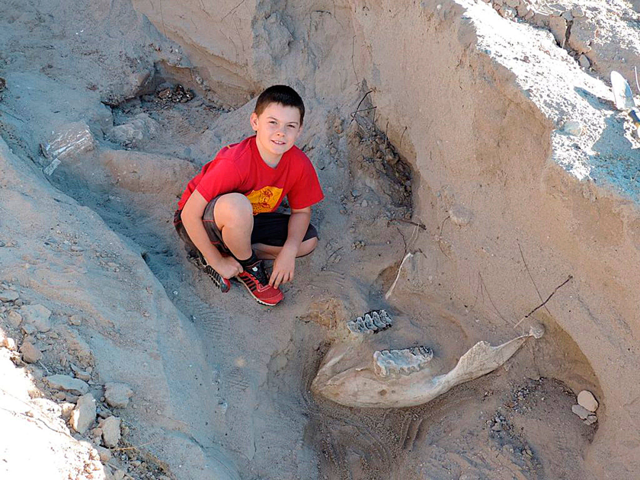 Jude Sparks with the Stegomastodon fossil he stumbled across near Las Cruces, New Mexico. (Peter Houde/New Mexico State University)