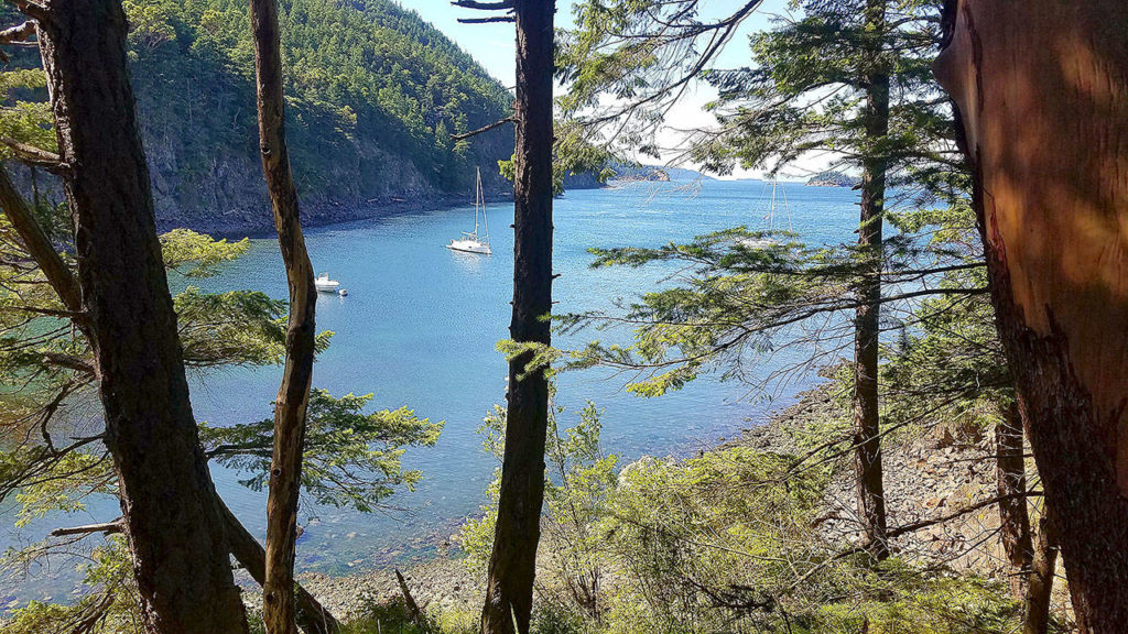 San Juan Island scenery doesn’t disappoint on a kayaking trip through some of the smaller islands. This shot is looking northward from Cypress Head, sailboats moor in the small harbor. (Aaron Swaney / For The Herald)
