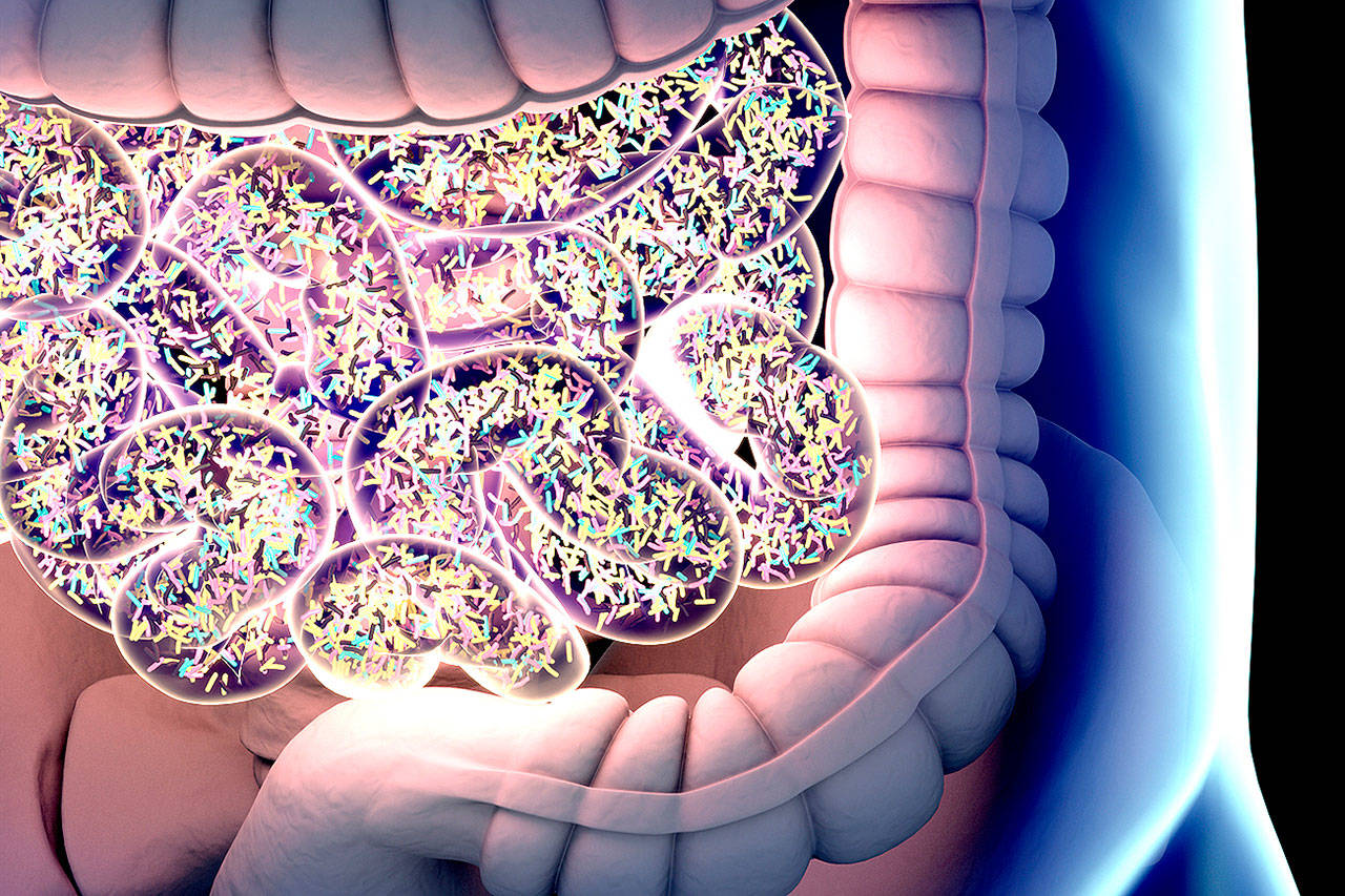 A 3-D representation of bacteria inside the small intestine. (Thinkstock)