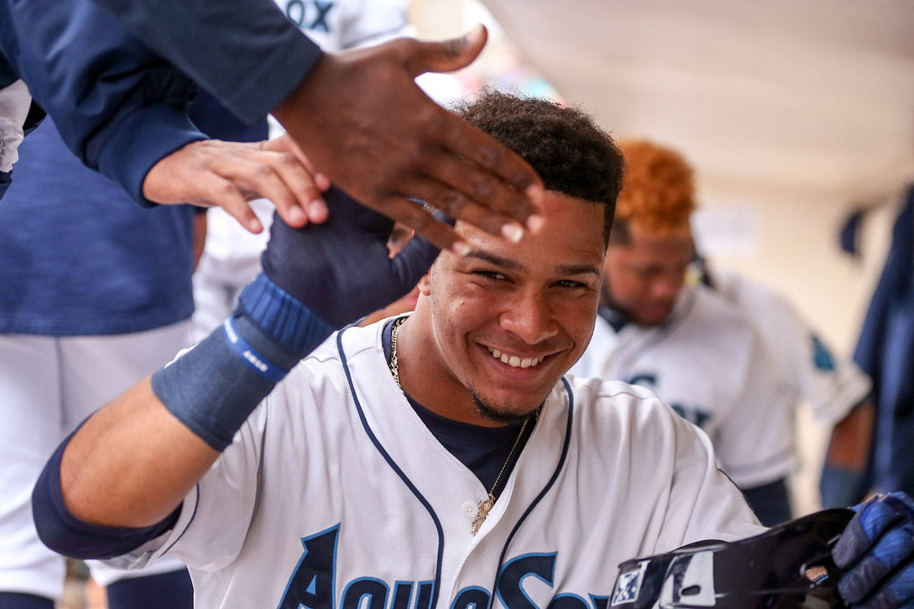 The AquaSox’s Joseph Rosa is congratulated in the dugout after hitting a home run during a game against the Hops on June 18, 2017, in Everett. (Kevin Clark / The Herald)