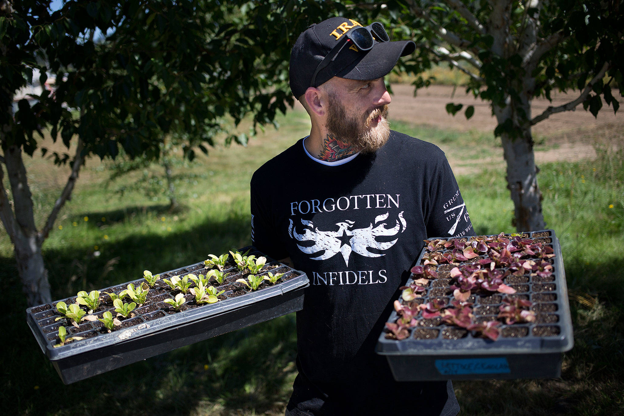 Seth McBride, 34,heads home with two trays of lettuce plants after volunteering at Growing Veterans, one of three farms encouraging vets to volunteer and learn to farm, Tuesday, July 25, 2017 in Mount Vernon, Wa. (Andy Bronson / The Herald)