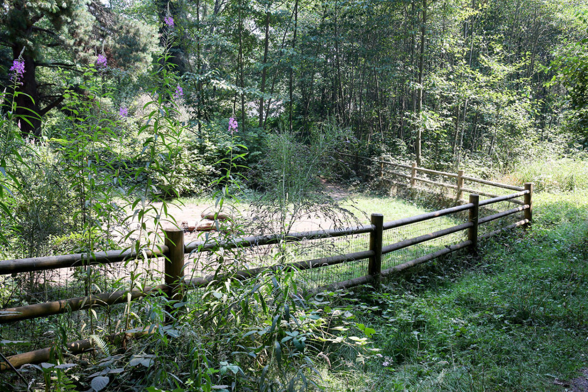 Lake Stickney park taking shape with work on playground, field