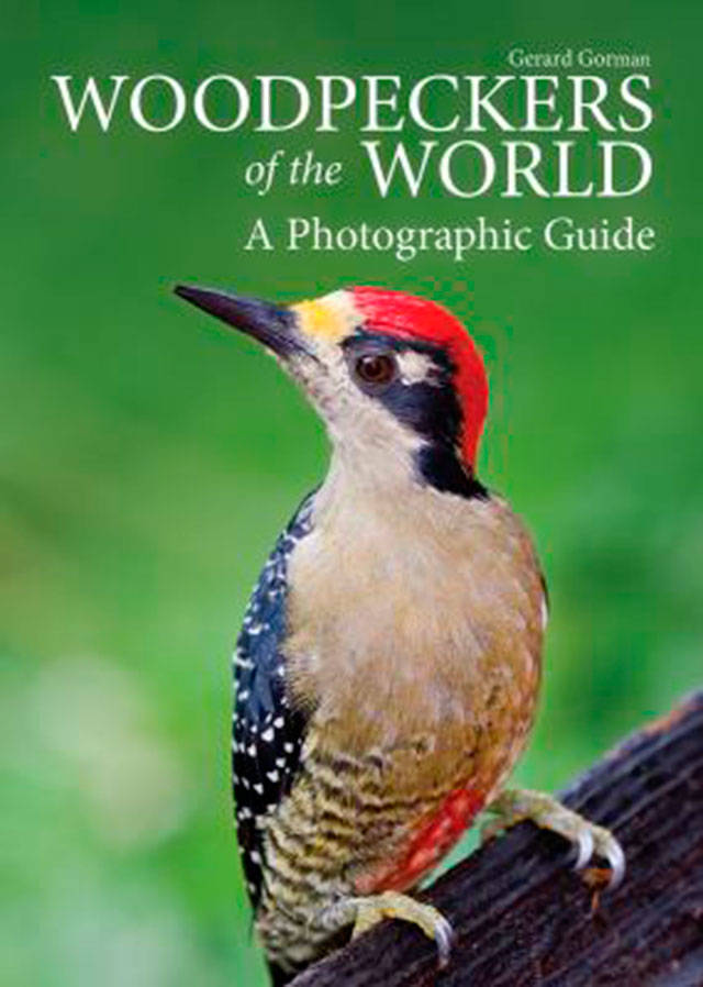 “Woodpeckers of the World” shows all the species of woodpeckers and their habitats. (Everett Public Library image)