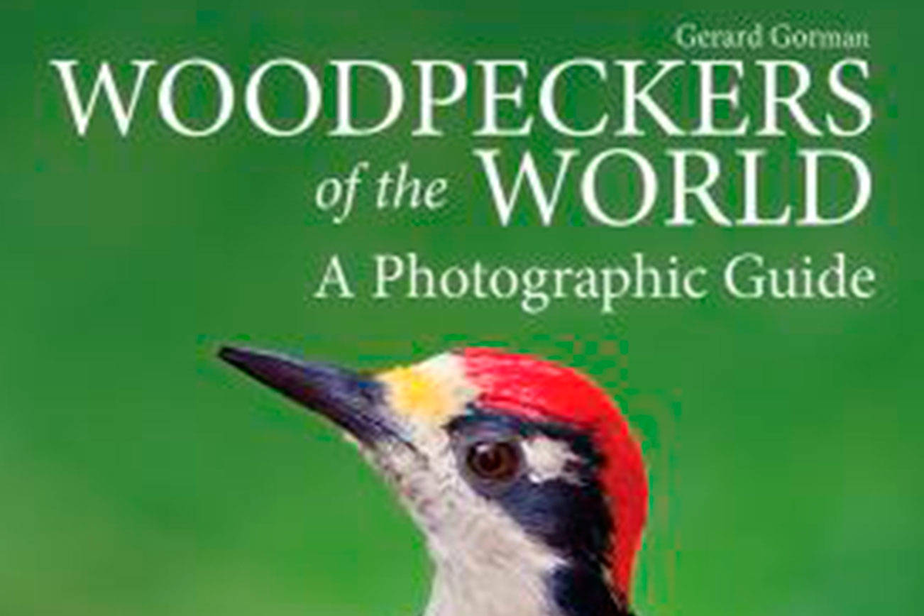 Drill down on woodpecker info at Everett Public Library