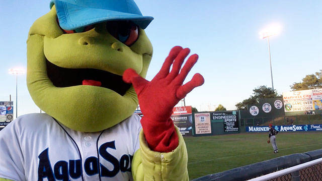 The AquaSox mascot, Webbly. (Sue Misao / The Herald)