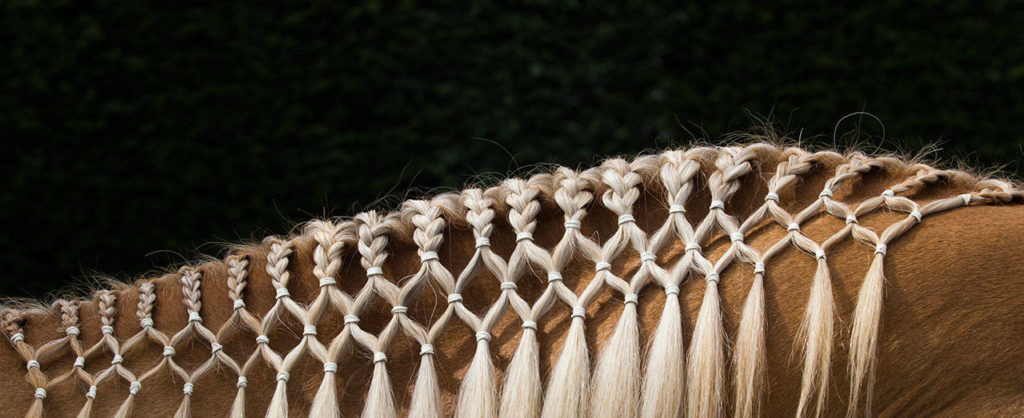 Nicole Wilson’s quarterhorse, Scratch, sports a diamond braid before competition on the opening day of the 2017 Evergreen State Fair on Thursday in Monroe. (Andy Bronson / The Herald)
