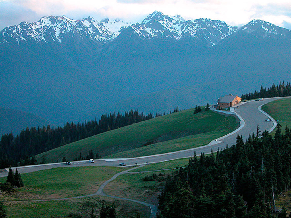 Hurricane Ridge offers panoramic view of the Olympic Mountains. (National Park Service)
